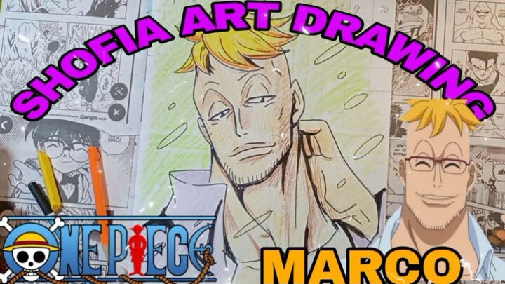 drawing anime one piece, karakter marco