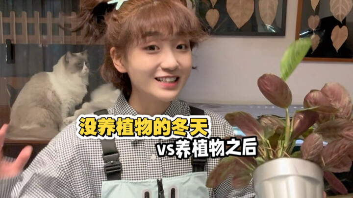 After I started growing plants: “After all, they were separated from their ‘mom’ since they were lit