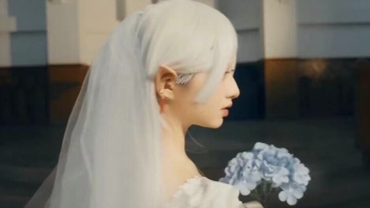 Dream Wedding