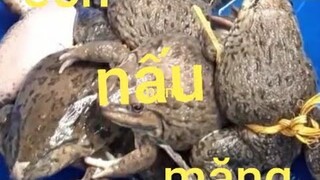 Cách nấu ếch măng chua ngâm ớt siêu cay.món ngon đơn giản rễ làm. Biển nguyễn ngọc.