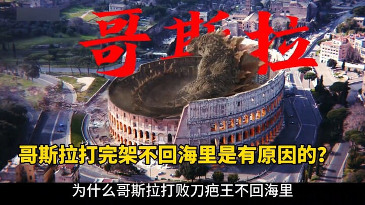 Is There a Reason Godzilla Doesn’t Head Back to the Sea After Every Battle?