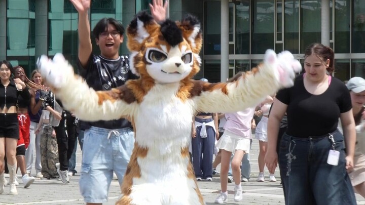 【Fursuit Dance】Luxxy - BLACKPINK 'JUMP'