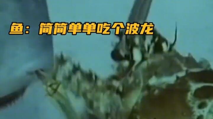 ทำไมปลามังกรถึงแพงขนาดนี้?