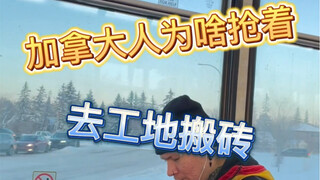加拿大人为啥挤破头去工地搬砖，和水泥的更是排都排不上