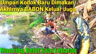 Ga Bisa Mudik Otw Mancing BELUT