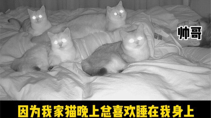 对不住了小老三……哈哈哈哈哈