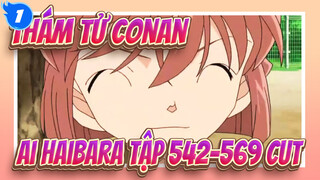 [Thám tử Conan] Ai Haibara Ep542-569 Cut_1