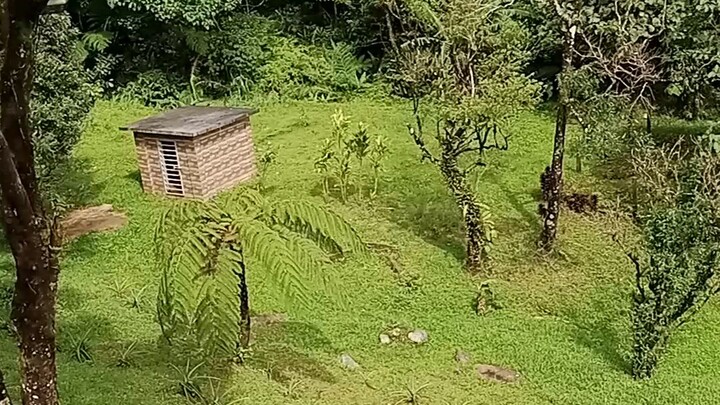 # tanay