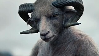 夫妻俩养育了一只长得像人的羊崽，结果惹下大祸