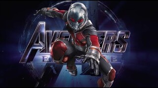 Review Phim: Người Kiến - Vũ Trụ Marvel.