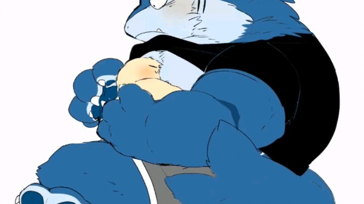 سمكة القرش الصغيرة