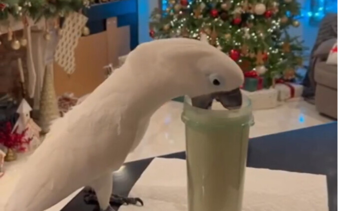 Tấn sữa đậu nành awwwwww