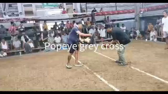 AAP GAMEFOUL