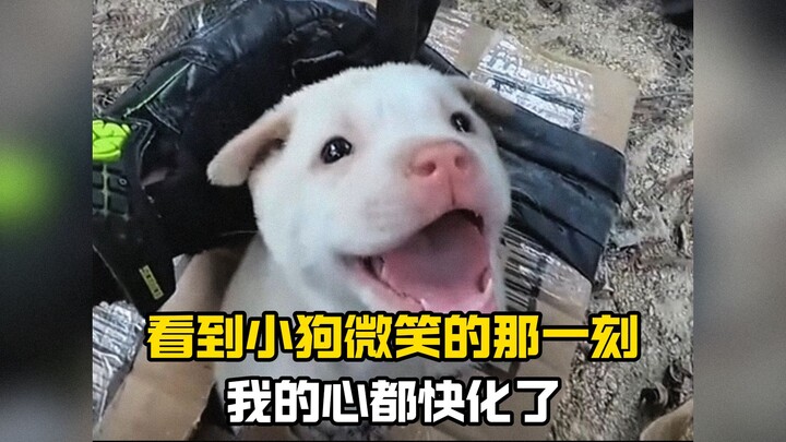 “บางทีมันอาจผิดหวังมาหลายครั้ง จึงเพิ่งจะได้พบกับคุณในที่สุด…”