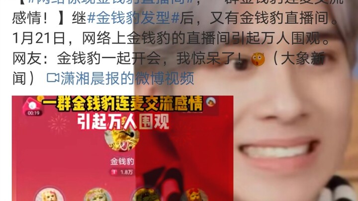 Xin hỏi đây có phải là việc mà một idol có thể làm không?
