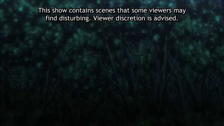 Episode 12-Goblin Slayer Ending
