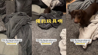 玩具 俺的玩具呢🥺😡