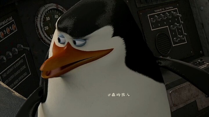 “The Penguins of Madagascar: A Flight Story”