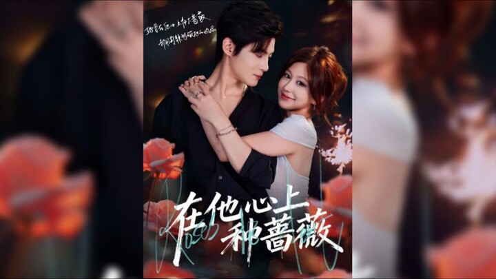 《在他心上种蔷薇》Planting Roses in His Heart | Xie HongXin & Chai HuiXin