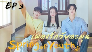 สปริงออฟยูธ EP 3