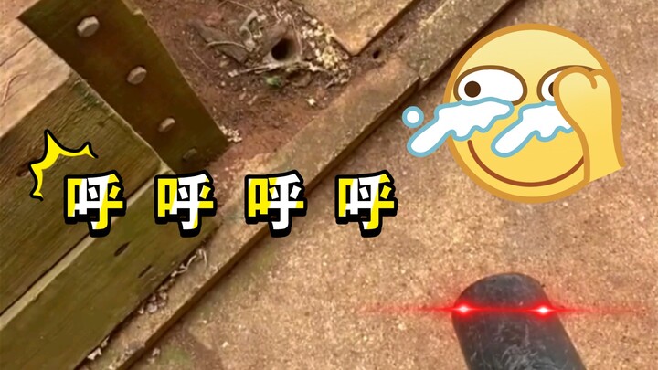 用吹风机找活门蜘蛛的盖子，超级好用!这是哪个鬼才想到的