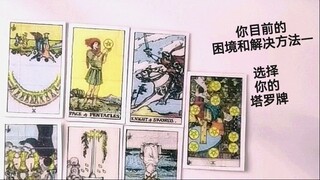 你目前的困境和解决方法—选择你的塔罗牌✨