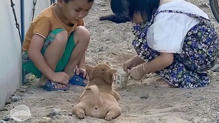 "As a dog, being happy is the most important thing!"