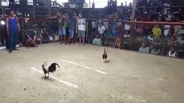 2hits ulotan pa champion na unahan ayon talo paldo na sana 😂