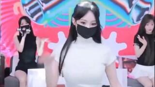 Panda Class Korea #4