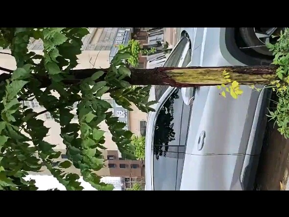 Anh chàng Bì Lôi từ trước đến giờ, tôi vẫn chưa dám xem hết luôn.