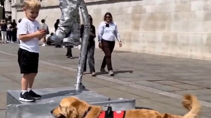 I can't believe what the dog did at the end 🤣