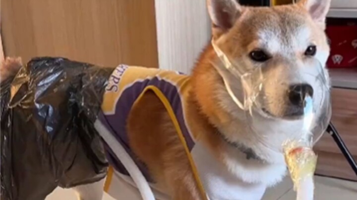Whose dog’s fart smells so bad?