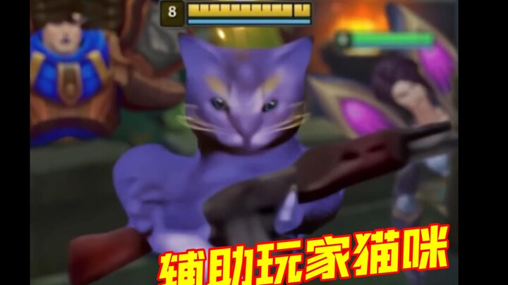 Pemain kucing LOL itu kayak gini