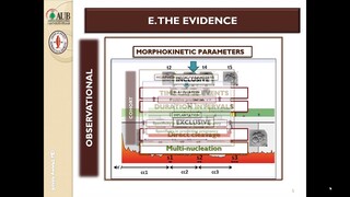 Micro Video- Time-Lapse Embryo Imaging: Does the Use of Morphokinetics Improve Embryo Implantation?