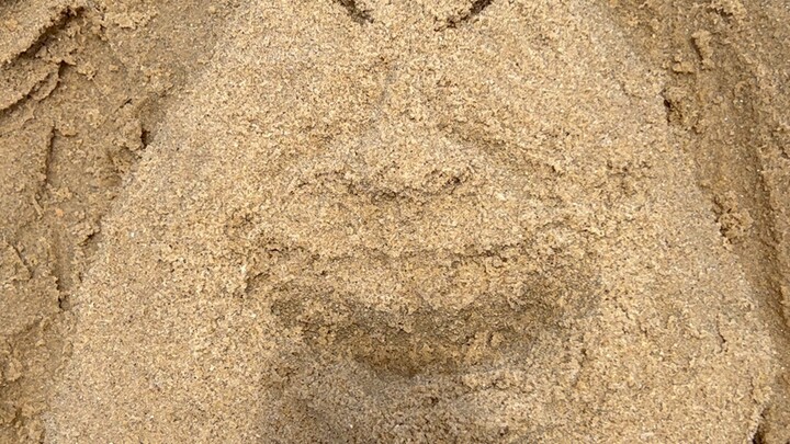 الحكمة المُقَدَّمَة — محدود للشاطئ