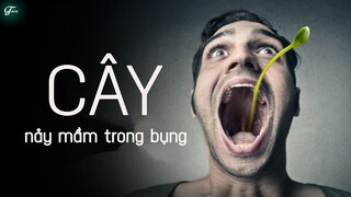 Điều Gì Xảy Ra Nếu Hạt Giống Nảy Mầm Ở Trong Bụng Bạn ??