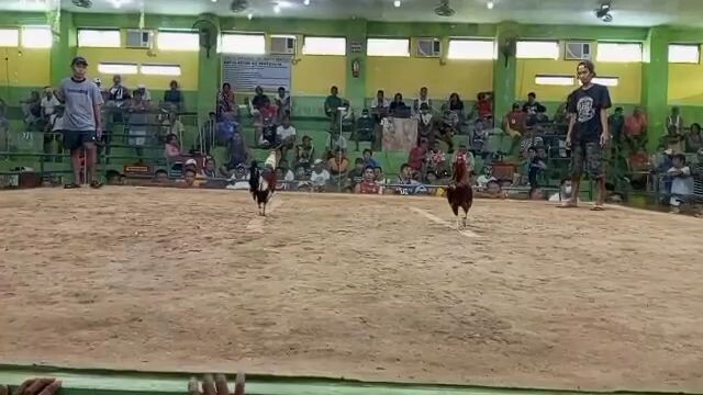 sbsb win nnman si talisay bagong gupit pa yan