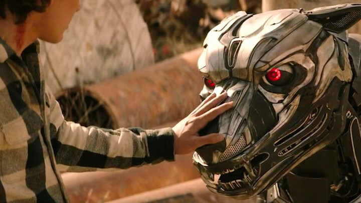 A young man found a robot war dog worth 70 million yuan. He didn't feed it dog food but only gasolin