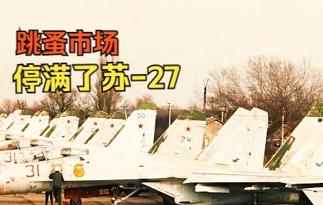 At the flea market, the price of a secondhand Su-27 was surprisingly low.