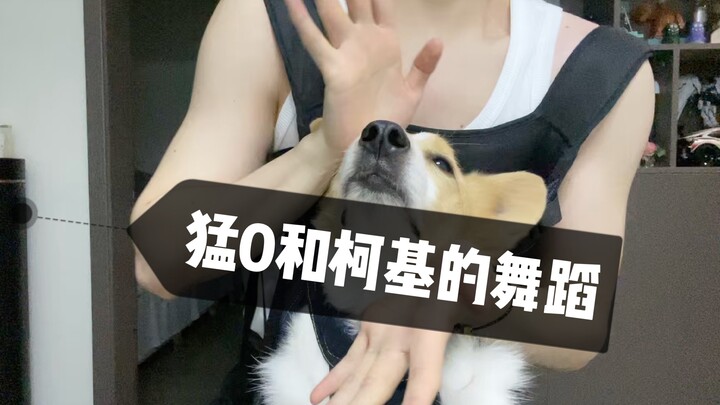 Meng 0 and the Corgi's Dance