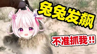 小兔叽生气起来也是会发飙的！！
