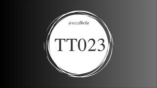 TT023