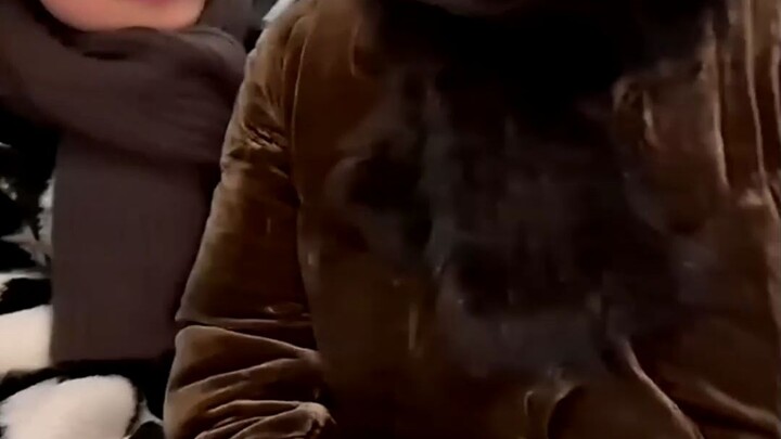 Zhang Dian is online comforting his mom.