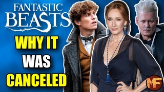 The Downfall of Fantastic Beasts: A Look At Why It Was Canceled (+ My Thoughts)