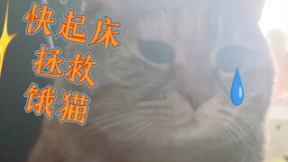 My stomach is empty, and Mommy's in bed.