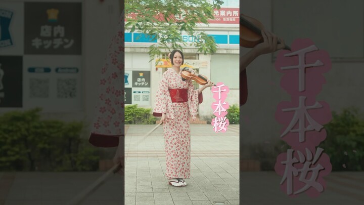 Violin playing outside Japanese convenience stores?! Senbonzakura🌸