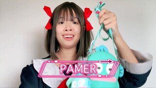 PAMER