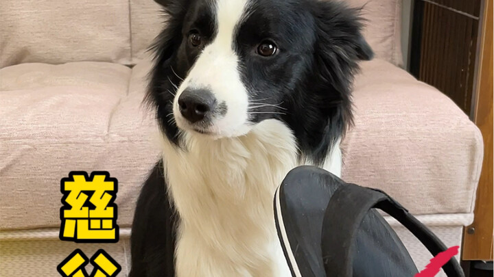 Các cún nhà các bạn sợ gì thế…