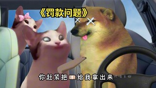 给媳妇儿交罚款然后被质问！