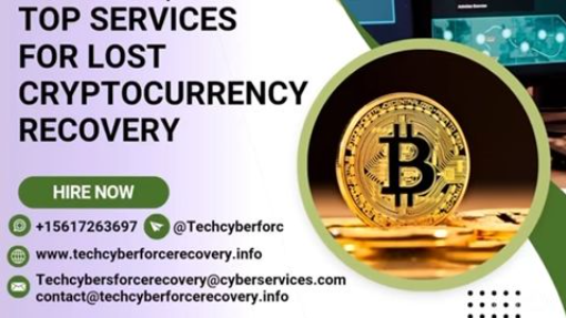 NEED BITCOIN HACKER FOR HIRE https://techcyberforcerecovery.info